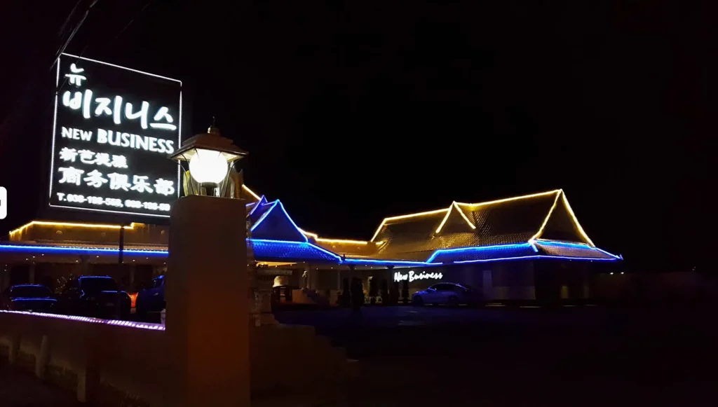 뉴비지니스 가라오케